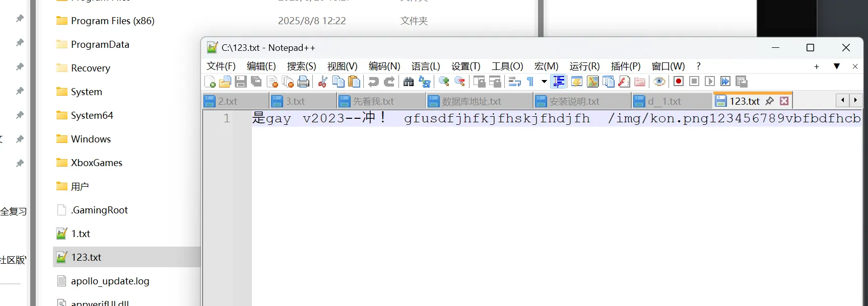 image-20250823182613105