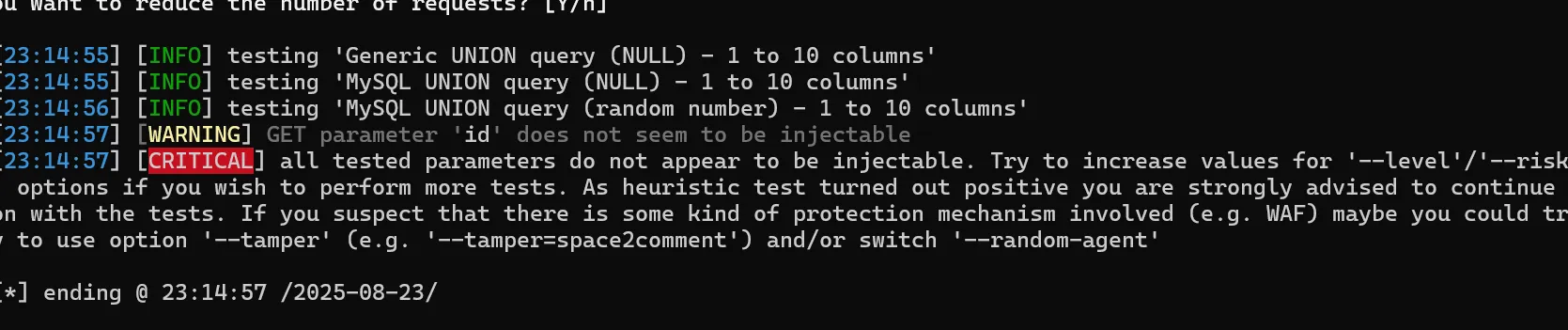 image-20250823231936692