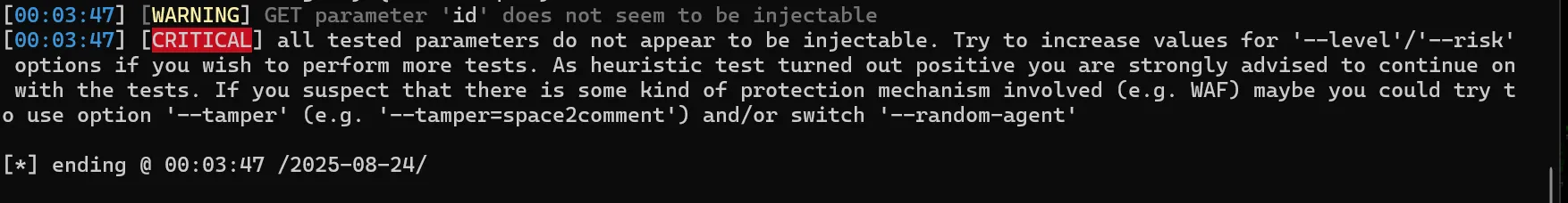 image-20250824000354348