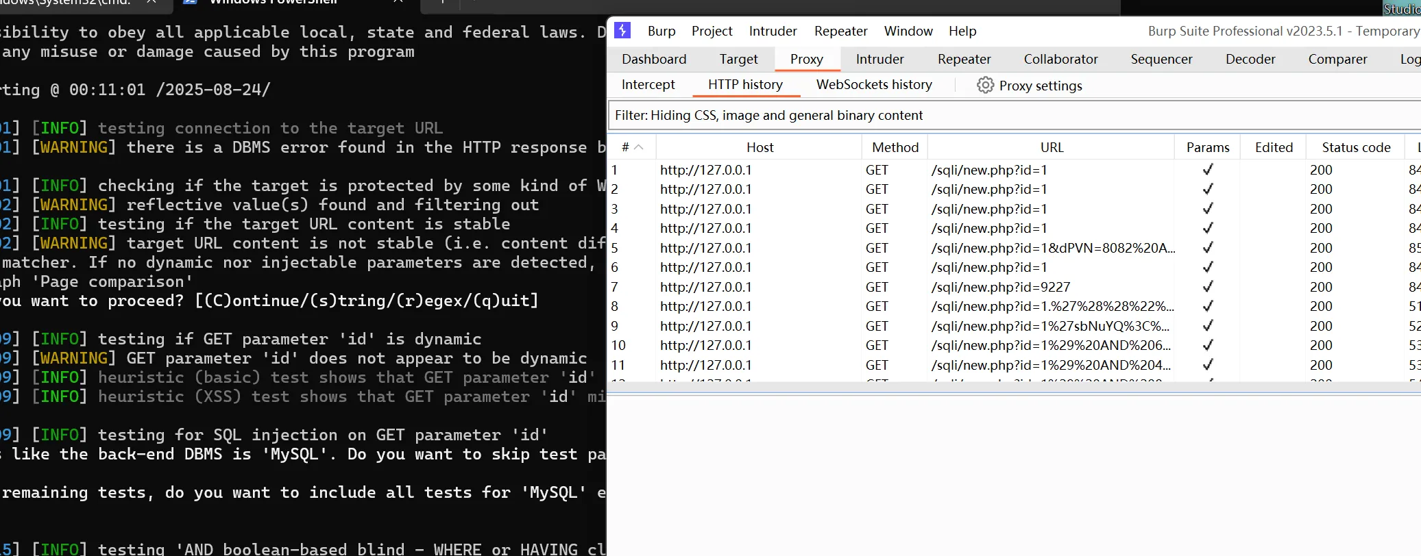 image-20250824001123623